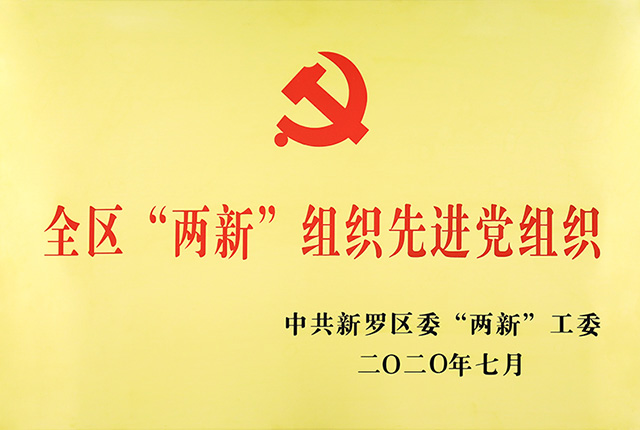 全区&ldquo;两新&rdquo;组织先进党组织