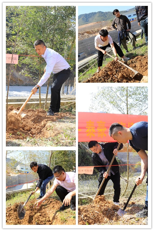 泰豪拉斯维加斯3499官网2022植树节-拼图2_副本.jpg 泰豪拉斯维加斯3499官网2022植树节-拼图2_副本.jpg